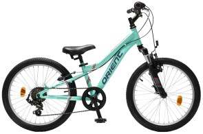 ποδηλατο-orient-snake-pro-20-πρασινο-1